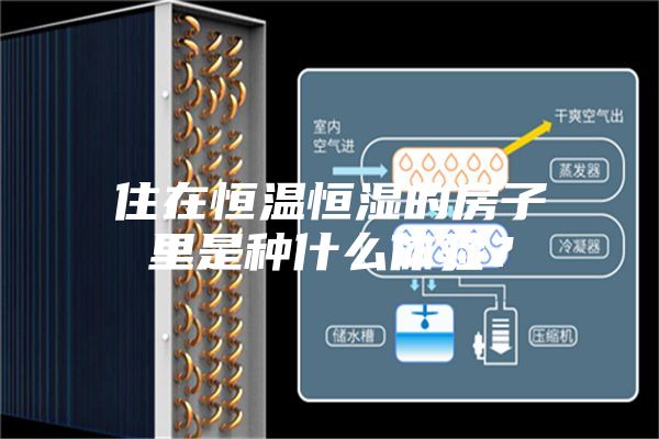 住在恒溫恒濕的房子里是種什么體驗(yàn)?