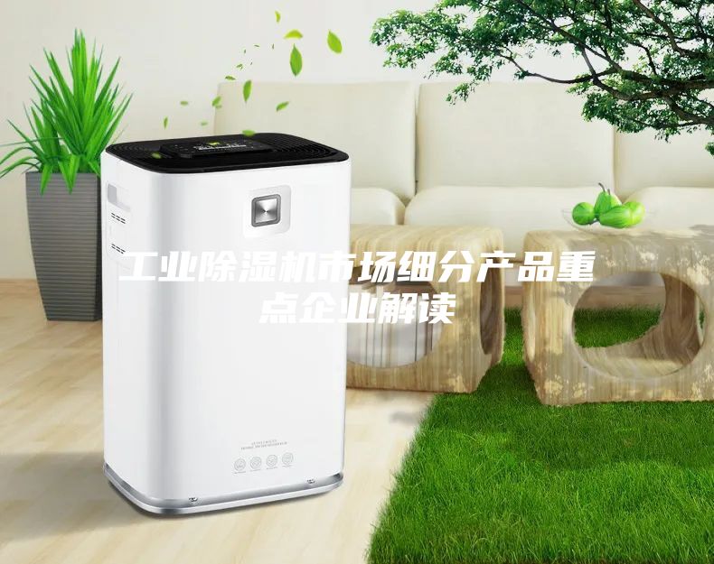 工業(yè)除濕機市場細分產(chǎn)品重點企業(yè)解讀