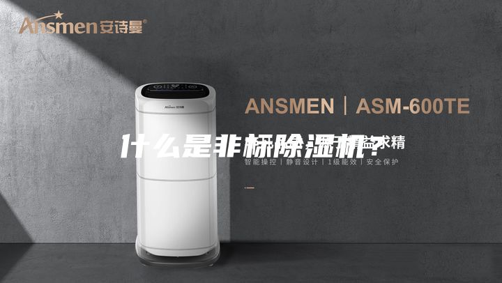 什么是非標除濕機？