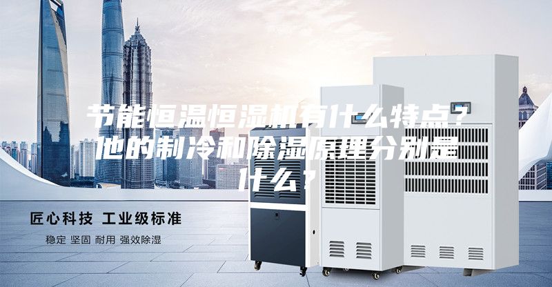 節(jié)能恒溫恒濕機(jī)有什么特點(diǎn)?他的制冷和除濕原理分別是什么?