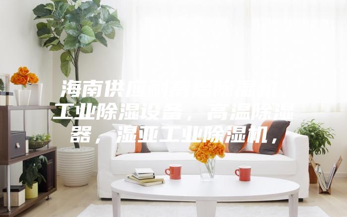 海南供應(yīng)耐高溫除濕機(jī)，工業(yè)除濕設(shè)備，高溫除濕器，濕亞工業(yè)除濕機(jī)，