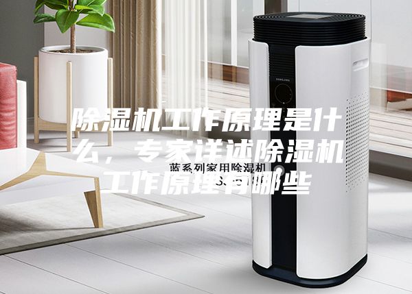 除濕機(jī)工作原理是什么,專家詳述除濕機(jī)工作原理有哪些
