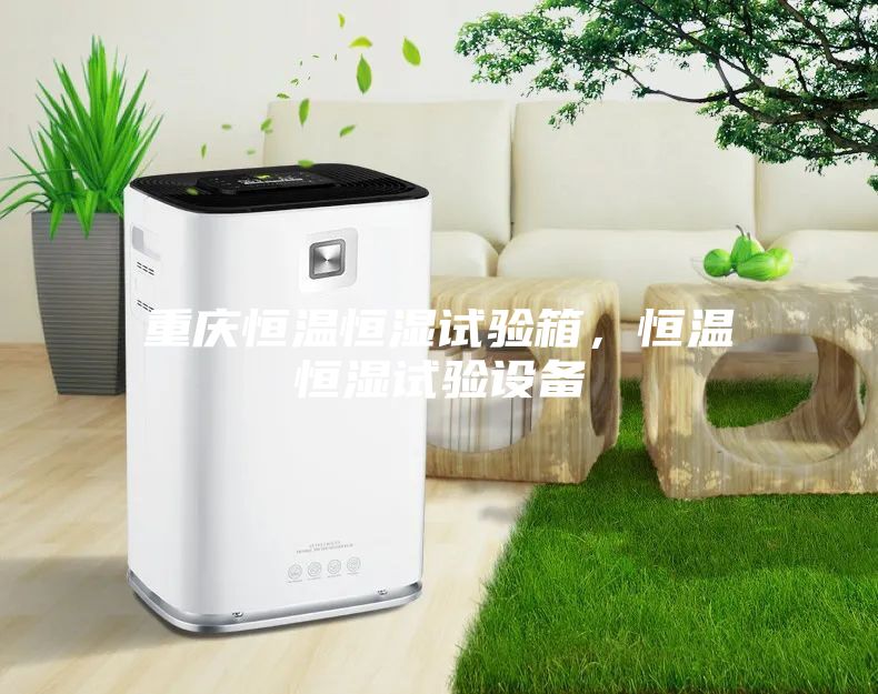 重慶恒溫恒濕試驗(yàn)箱,恒溫恒濕試驗(yàn)設(shè)備