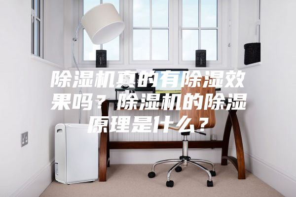 除濕機真的有除濕效果嗎?除濕機的除濕原理是什么?