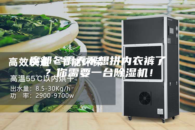 魔都冬雨天不想拼內(nèi)衣褲了?你需要一臺(tái)除濕機(jī)!