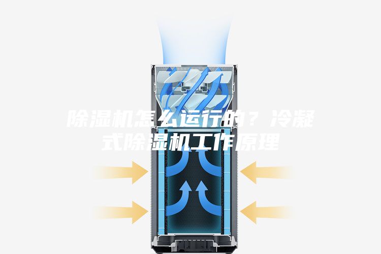 除濕機怎么運行的?冷凝式除濕機工作原理