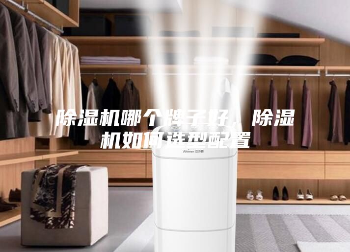 除濕機哪個牌子好，除濕機如何選型配置