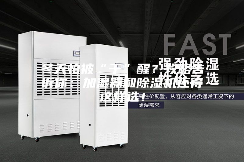 冬天怕被“干”醒？攻略告訴你：加濕器和除濕機還得這樣選！