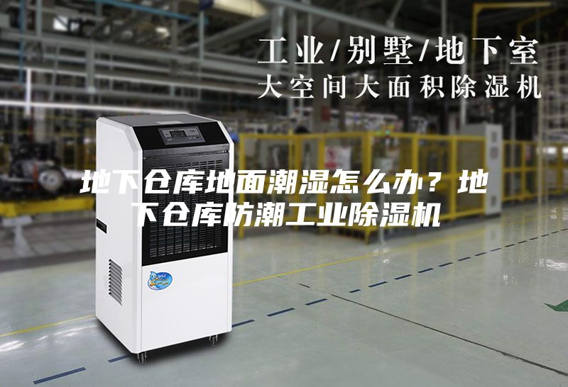 地下倉(cāng)庫(kù)地面潮濕怎么辦？地下倉(cāng)庫(kù)防潮工業(yè)除濕機(jī)