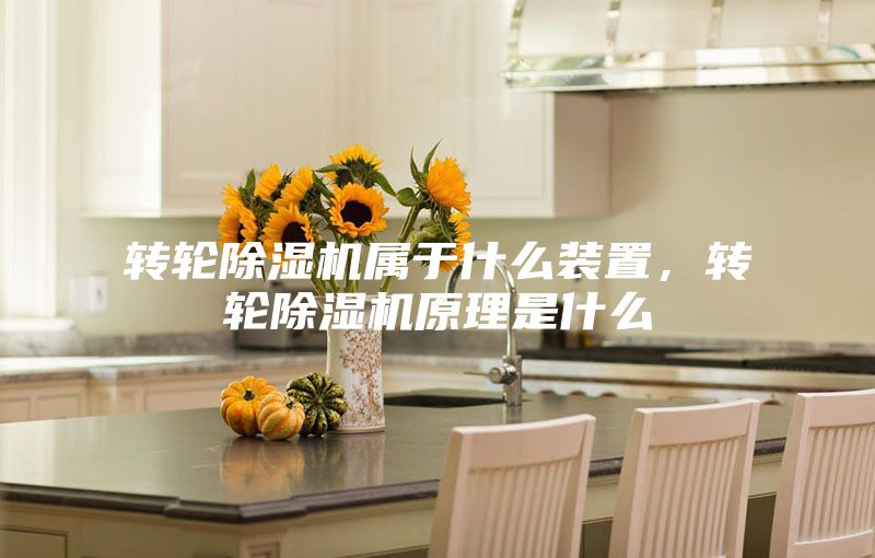 轉(zhuǎn)輪除濕機(jī)屬于什么裝置,轉(zhuǎn)輪除濕機(jī)原理是什么
