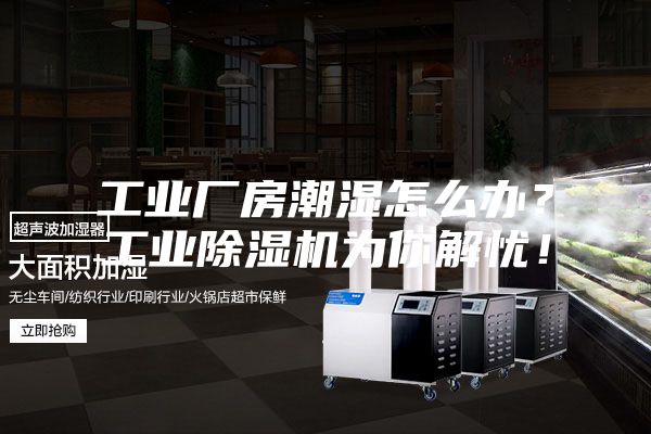 工業廠房潮濕怎么辦？工業除濕機為你解憂！