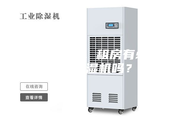 初到南方，租房有必要買除濕機(jī)嗎？