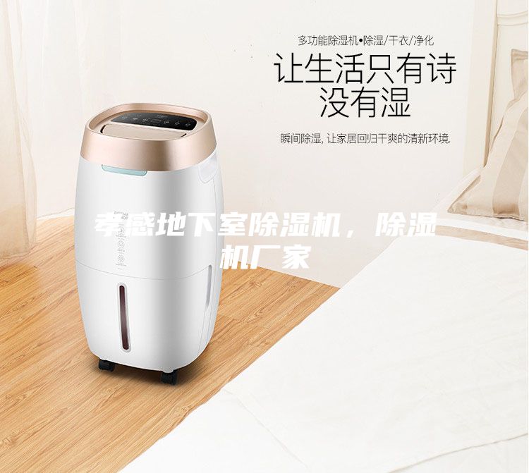 孝感地下室除濕機,除濕機廠家