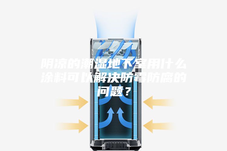陰涼的潮濕地下室用什么涂料可以解決防霉防腐的問題?