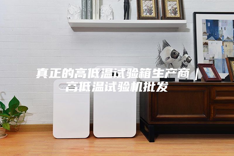 真正的高低溫試驗箱生產(chǎn)商|高低溫試驗機(jī)批發(fā)