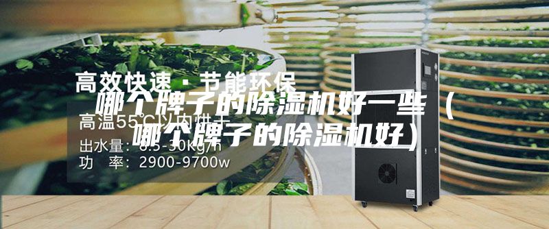 哪個(gè)牌子的除濕機(jī)好一些(哪個(gè)牌子的除濕機(jī)好)