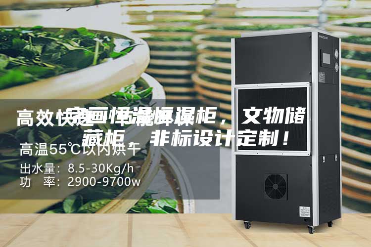 字畫恒溫恒濕柜，文物儲藏柜，非標設(shè)計定制！