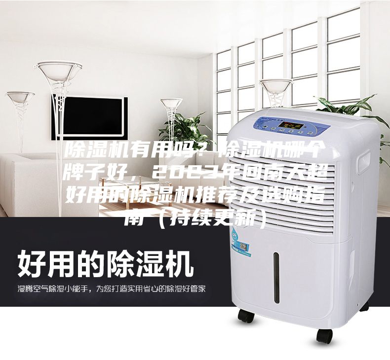 除濕機有用嗎?除濕機哪個牌子好,2023年回南天超好用的除濕機推薦及選購指南(持續更新)