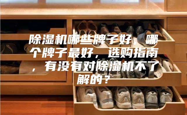 除濕機哪些牌子好,哪個牌子最好,選購指南,有沒有對除濕機不了解的?