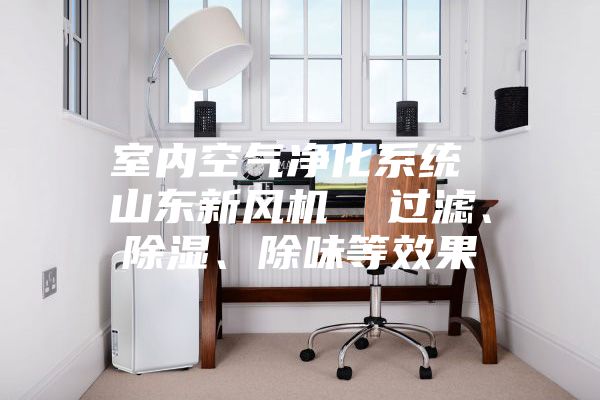 室內空氣凈化系統 山東新風機 過濾、除濕、除味等效果