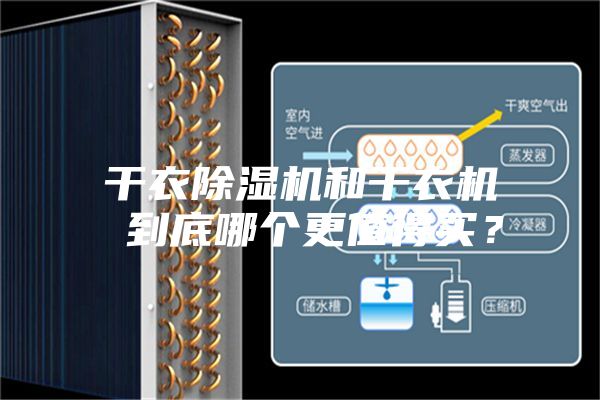 干衣除濕機和干衣機 到底哪個更值得買？