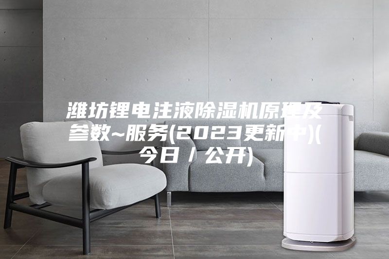 濰坊鋰電注液除濕機(jī)原理及參數(shù)~服務(wù)(2023更新中)(今日/公開)