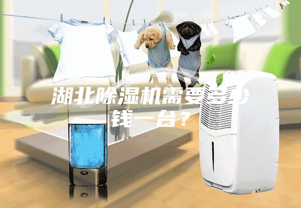 湖北除濕機(jī)需要多少錢一臺(tái)?