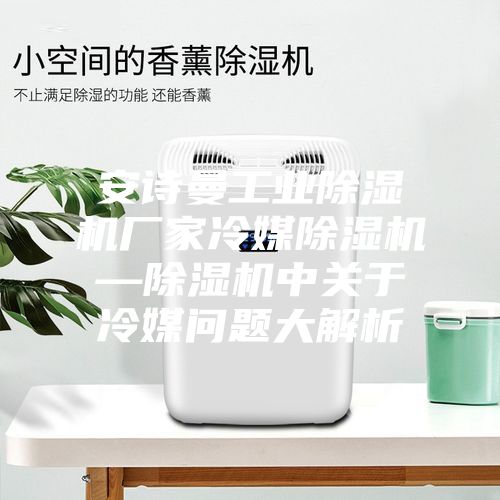 安詩曼工業(yè)除濕機廠家冷媒除濕機—除濕機中關于冷媒問題大解析