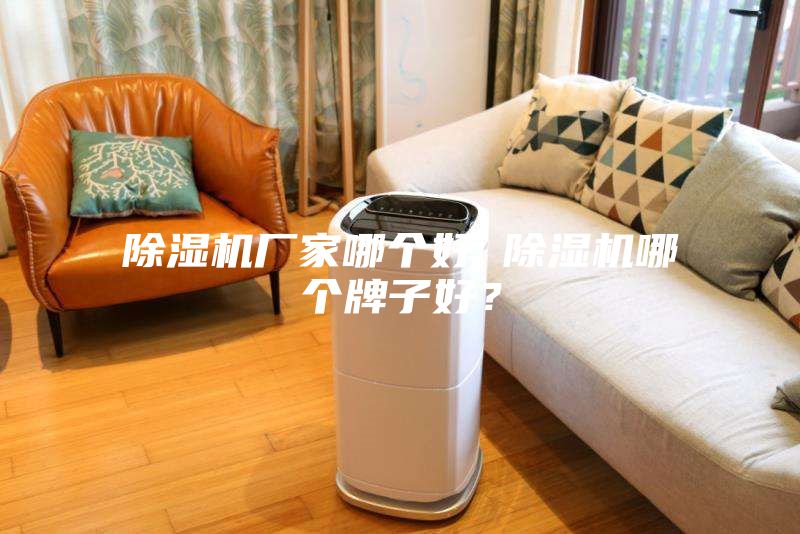 除濕機(jī)廠家哪個(gè)好 除濕機(jī)哪個(gè)牌子好?