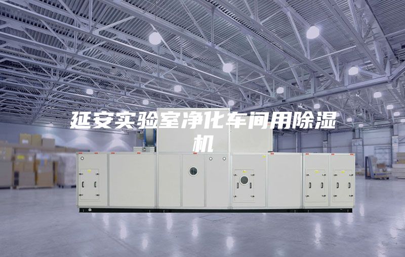 延安實(shí)驗(yàn)室凈化車間用除濕機(jī)
