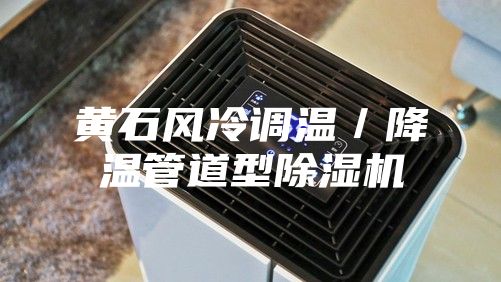 黃石風(fēng)冷調(diào)溫/降溫管道型除濕機