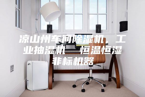 涼山州車間除濕機,工業抽濕機 恒溫恒濕非標機器