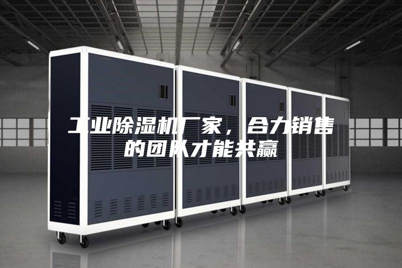 工業除濕機廠家,合力銷售的團隊才能共贏
