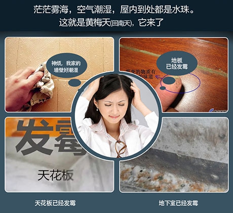 地下室中央新風除濕機，地下室通風與除濕解決方案