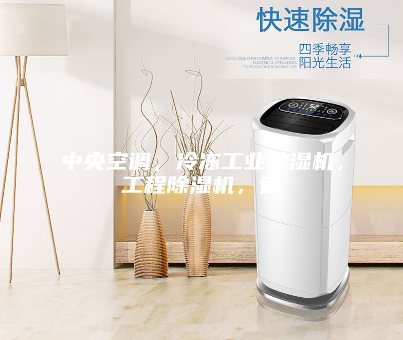 中央空調(diào)，冷凍工業(yè)除濕機，工程除濕機，管