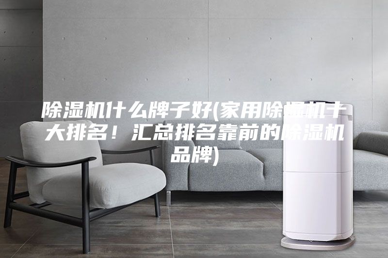 除濕機(jī)什么牌子好(家用除濕機(jī)十大排名！匯總排名靠前的除濕機(jī)品牌)