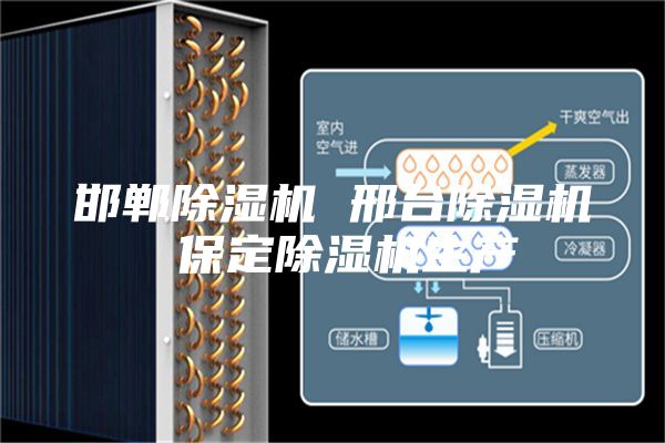 邯鄲除濕機(jī) 邢臺除濕機(jī) 保定除濕機(jī)生產(chǎn)