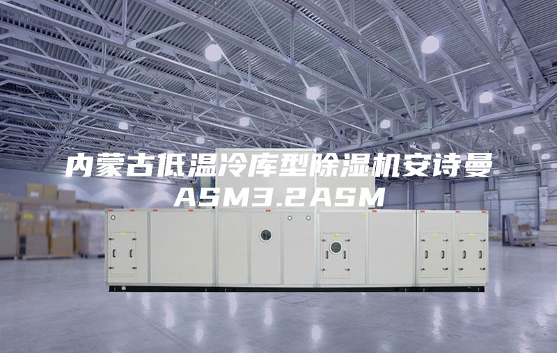 內(nèi)蒙古低溫冷庫型除濕機(jī)安詩曼ASM3.2ASM
