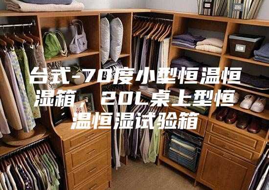 臺式-70度小型恒溫恒濕箱，20L桌上型恒溫恒濕試驗箱