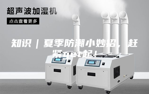 知識｜夏季防潮小妙招，趕緊get起！