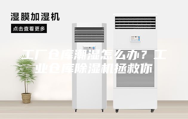 工廠倉庫潮濕怎么辦？工業倉庫除濕機拯救你