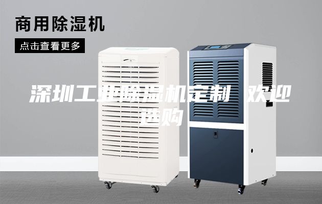 深圳工業(yè)除濕機(jī)定制 歡迎選購(gòu)