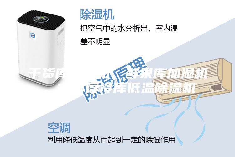 干貨庫除濕機，鮮果庫加濕機，2-8度冷庫低溫除濕機