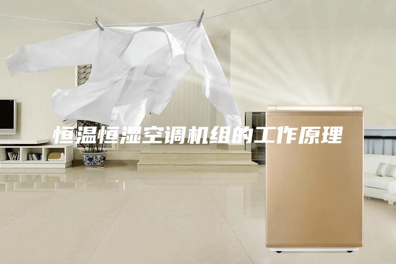 恒溫恒濕空調(diào)機(jī)組的工作原理