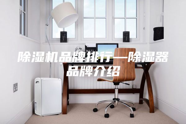 除濕機品牌排行—除濕器品牌介紹