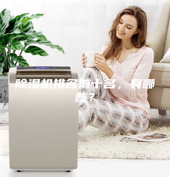除濕機排名前十名，有哪些？