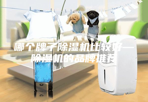 哪個牌子除濕機(jī)比較好—除濕機(jī)的品牌推薦