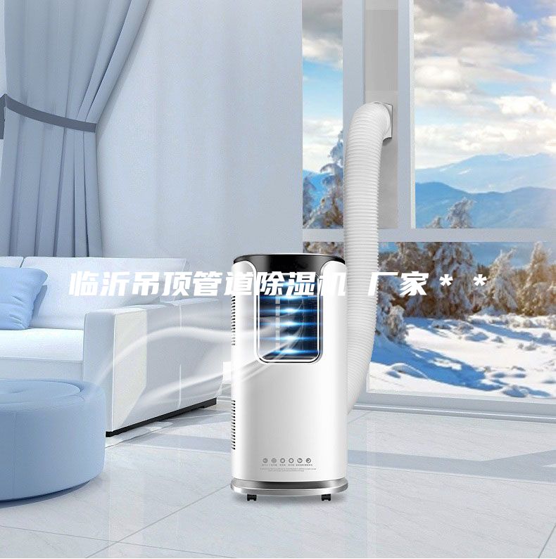 臨沂吊頂管道除濕機 廠家＊＊