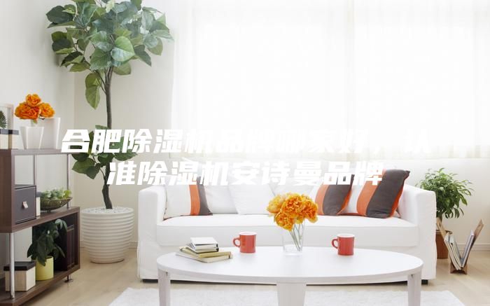 合肥除濕機(jī)品牌哪家好，認(rèn)準(zhǔn)除濕機(jī)安詩(shī)曼品牌