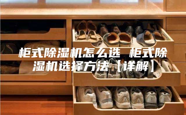 柜式除濕機(jī)怎么選 柜式除濕機(jī)選擇方法【詳解】
